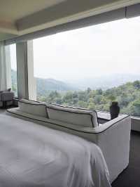 帶娃住進版納的大自然裡！真的是快樂星球！