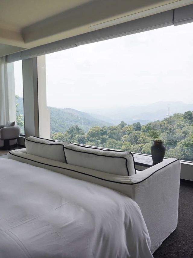 帶娃住進版納的大自然裡！真的是快樂星球！