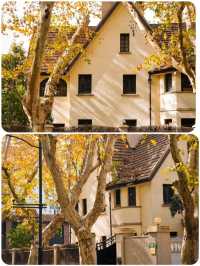 上海秋日頂流!思南路梧桐區漫步全攻略,美到失語!