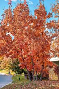 北京周邊這處神仙秘境我不允許還有人不知道！