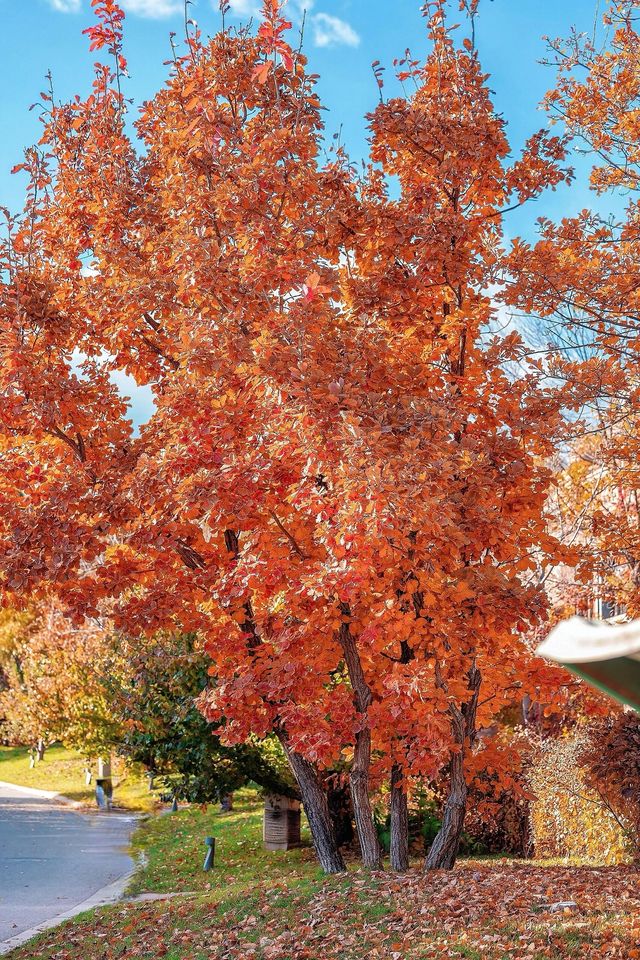 北京周邊這處神仙秘境我不允許還有人不知道！