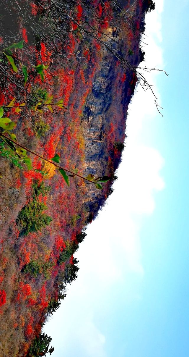 邯鄲武安的隱世瑰寶天乳山:帶你穿越千年文化的山水畫卷! 邯鄲武安的隱世瑰寶天乳山:帶你穿越千年文化的山水畫卷!