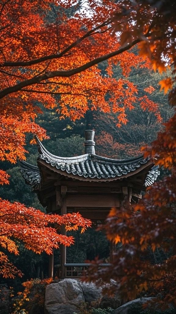 濟南秋色醉美紅妝 濟南秋色醉美紅妝