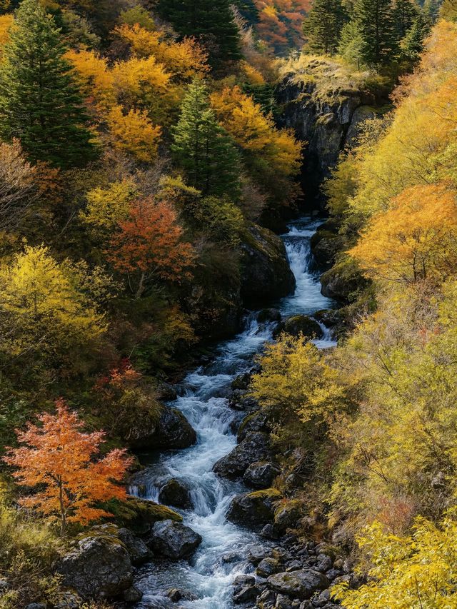 救命 川西秋日私藏秘境！99%人不知道的封神路線