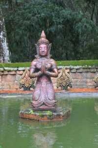 闖入雨林秘境探索千年曼丟古寨，傣家風情拍不停