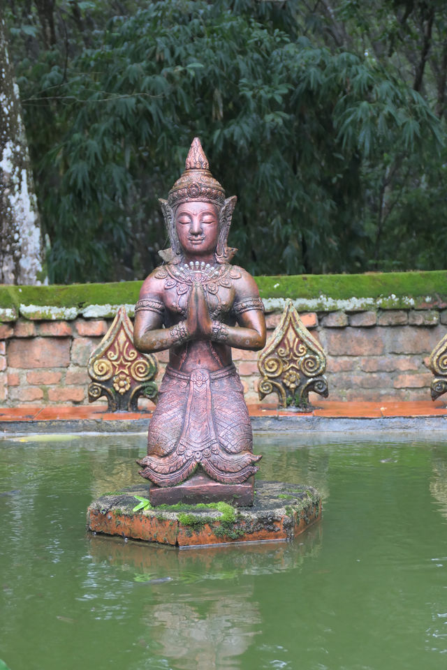 闖入雨林秘境探索千年曼丟古寨，傣家風情拍不停