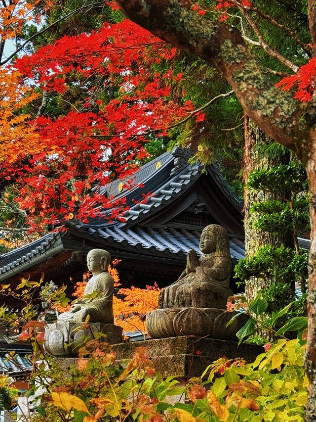 拈花一笑高野山