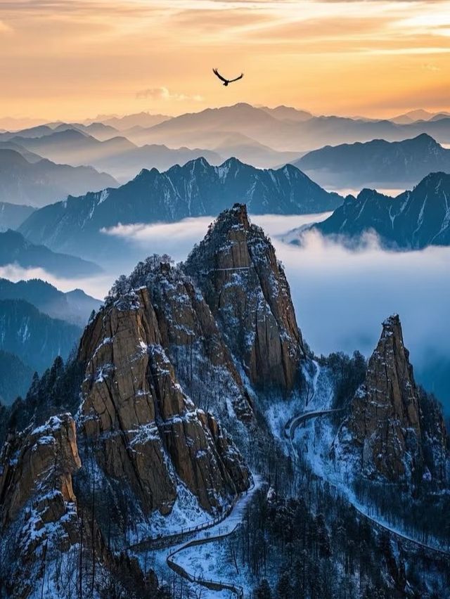 一山兩季｜河南老界嶺免票到年尾，打卡南北氣候分界線