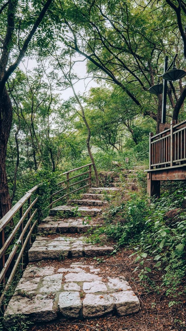 落葉像雪一樣的季節