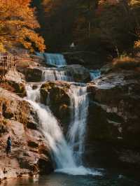 帶娃闖進紅葉童話！光霧山2天1晚超省心版