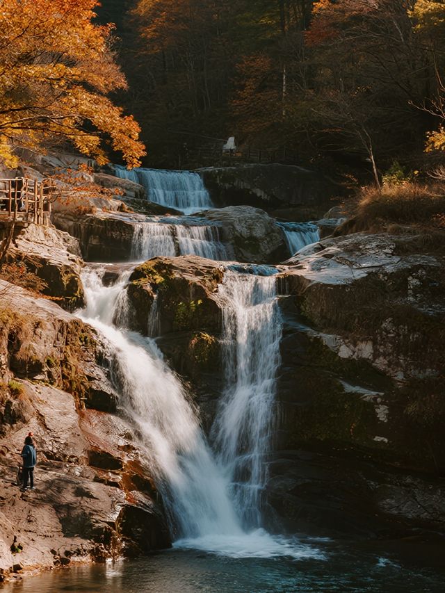 帶娃闖進紅葉童話！光霧山2天1晚超省心版