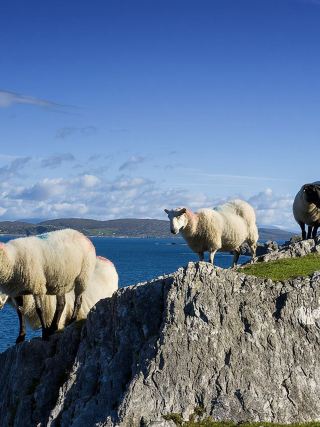 Ireland 1-Day Private Car Deep Tour to Classic Attractions