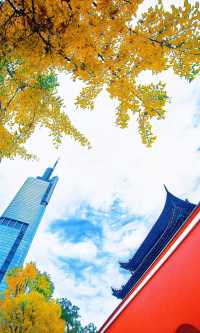 南京必打卡！紅牆銀杏出片神地，比故宮人少好看！