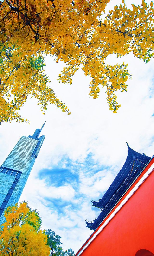 南京必打卡！紅牆銀杏出片神地，比故宮人少好看！