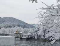 廬山初雪來啦南方人尖叫！朋友圈攝影大賽穩贏攻略！