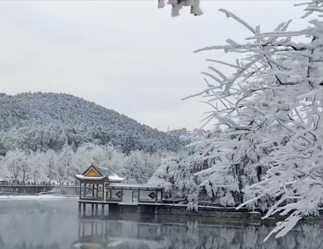 廬山初雪來啦南方人尖叫！朋友圈攝影大賽穩贏攻略！