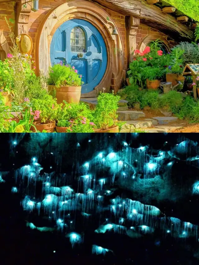 Trải nghiệm Pure Planet tuyệt đỉnh