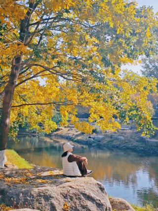 칭다오|소수만 아는 공원의 가장 아름다운 가을 풍경