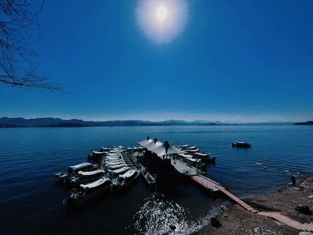 登千年文脈島，賞湖光映古意