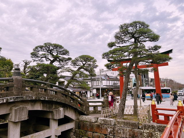 鶴岡八幡宮｜鎌倉最具代表性的神社散步路線 ⛩️🍁