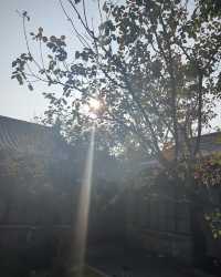 東南邑的神仙四合院，這才是慢生活天花板