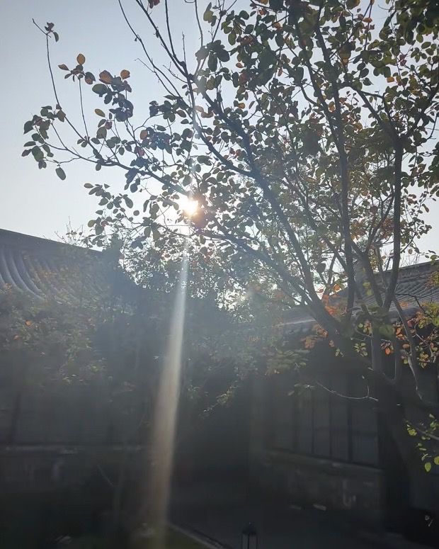 東南邑的神仙四合院，這才是慢生活天花板