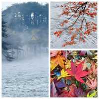 雲霧丹楓解鎖仙俠界現實版！