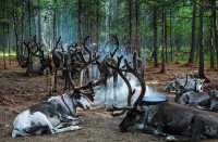 根河：在中國冷極，與冰雪共舞