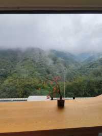 在版納雨林裡住進了現實版《飛屋環遊記》！