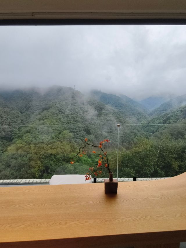 在版納雨林裡住進了現實版《飛屋環遊記》！