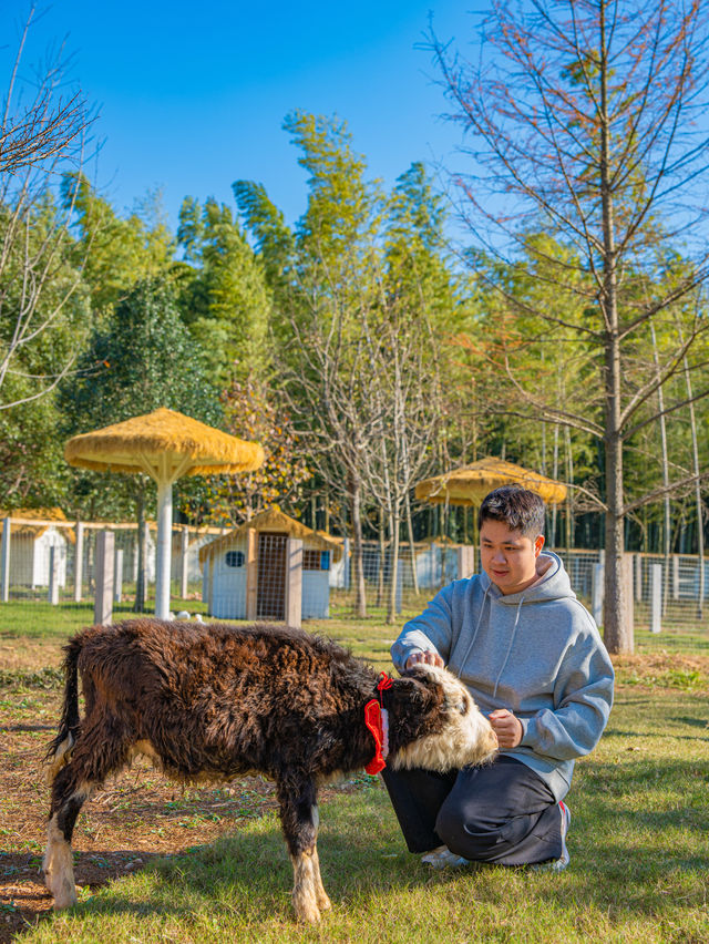江浙滬這座寶藏樂園！已經被這裡動物萌化了