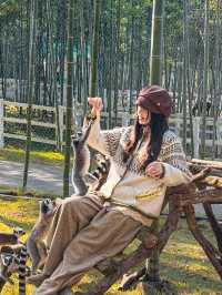 秋日速報！！收到一本宜興的童話書