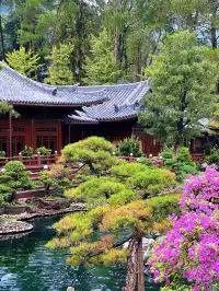 這是我花5蚊雞就能看到的景色？！？！