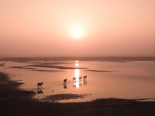 鹽城丨朋友都以為我去了肯尼亞 鹽城丨朋友都以為我去了肯尼亞