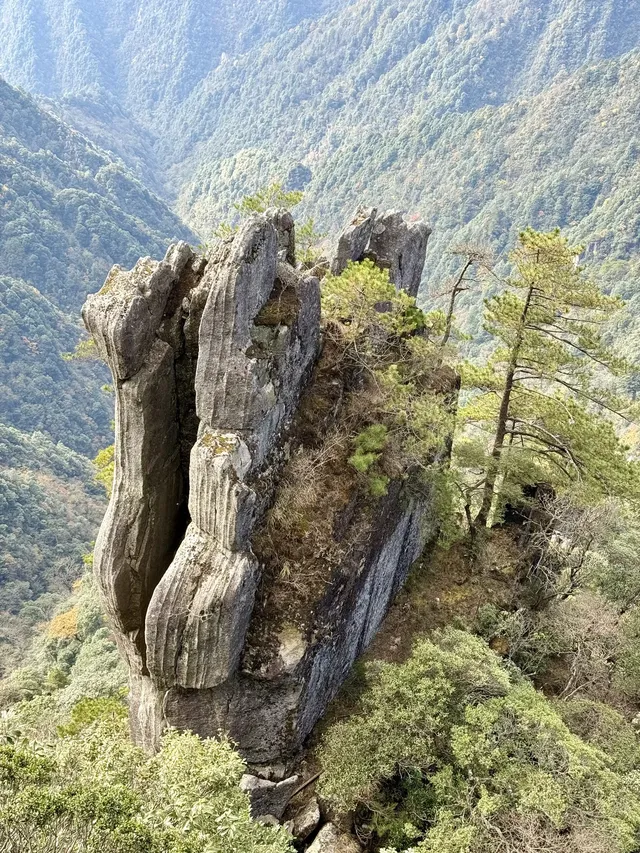 明月山+羊獅慕一日遊時間線 明月山+羊獅慕一日遊時間線