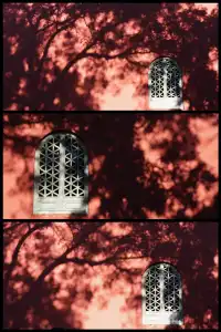 南京鼓樓公園銀杏｜紅牆光影+古今同框