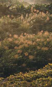 接下來的韶關,將是上帝打翻的調色盤!