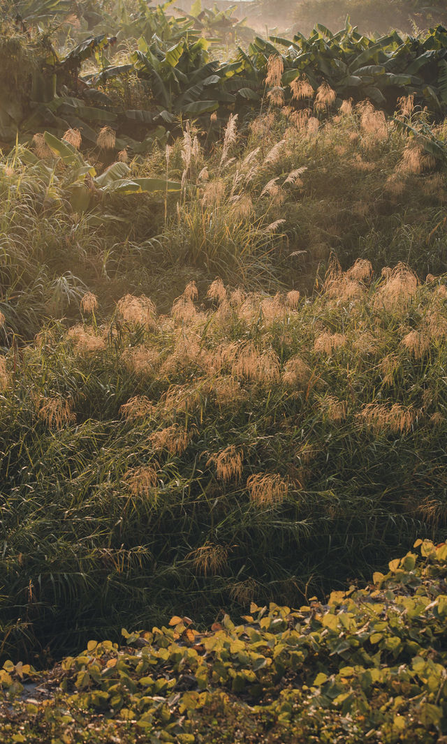 接下來的韶關,將是上帝打翻的調色盤! 接下來的韶關,將是上帝打翻的調色盤!