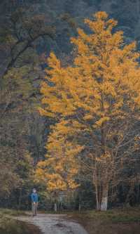 接下來的韶關,將是上帝打翻的調色盤!