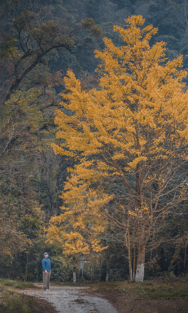 接下來的韶關,將是上帝打翻的調色盤! 接下來的韶關,將是上帝打翻的調色盤!