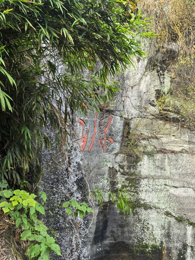 浙江新昌·般若寺|99%的人錯過的小眾秘境! 浙江新昌·般若寺|99%的人錯過的小眾秘境!