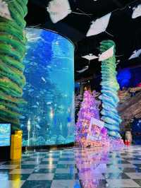 泉州歐樂堡歡樂全攻略