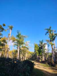 闖入普洱秘境被這片鋪天蓋地的藍治癒了