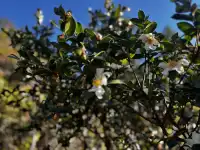 神仙谷隱藏玩法大公開！極限蹦極+深山尋寶