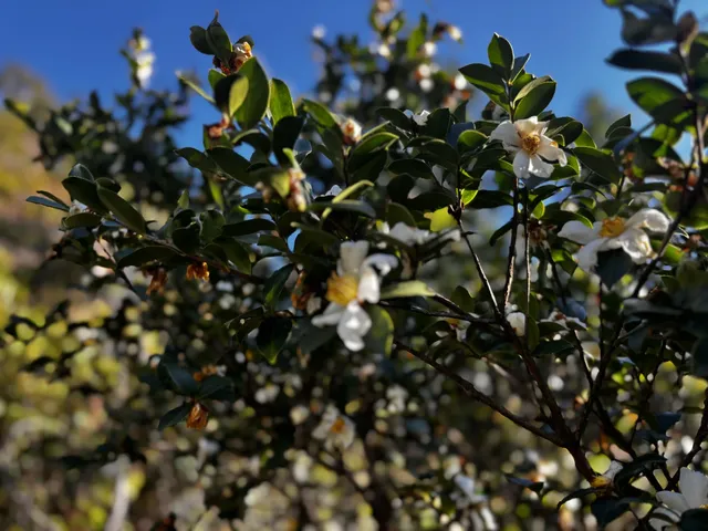 神仙谷隱藏玩法大公開！極限蹦極+深山尋寶
