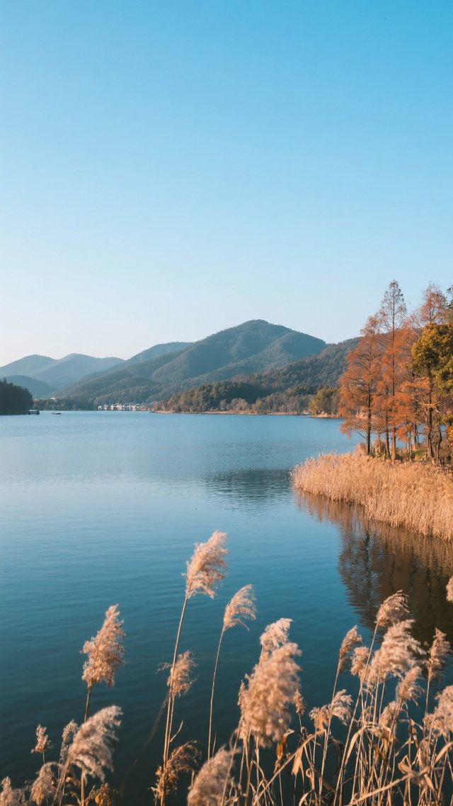 12月的寧波四天三晚，慢遊山海與煙火！