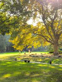 上海好逛的地方都是免費的丨附地址