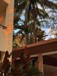 房間很大，酒店很小｜住進西雙版納的熱帶雨林裡度假