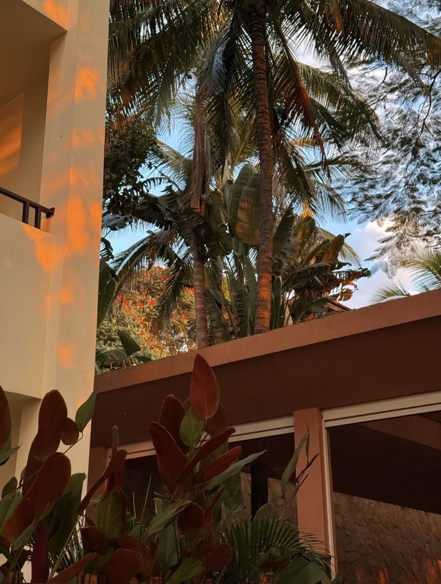 房間很大，酒店很小｜住進西雙版納的熱帶雨林裡度假