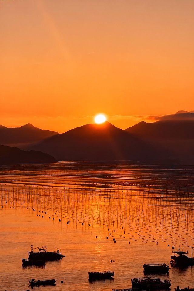 人回來了，心還在霞浦